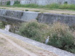 IMG_4166.JPG