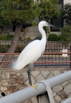 20201227.jpg