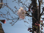IMG_1103.JPG