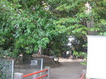 IMG_1494.JPG