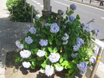 IMG_1566.JPG
