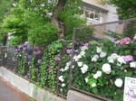 IMG_1574.JPG