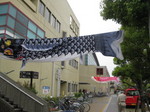 IMG_1673.JPG