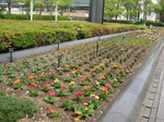 IMG_1751.JPG