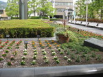 IMG_1752.JPG