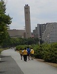 IMG_20150607_123212.jpg