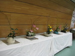 IMG_2788.JPG