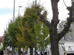 IMG_3178.JPG