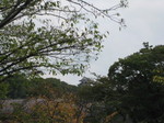 IMG_3732.JPG