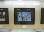IMG_4319.JPG