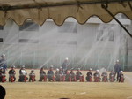 IMG_4327.jpg