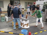 IMG_4482.JPG