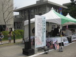 IMG_4526.JPG