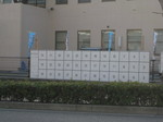 IMG_4573.JPG