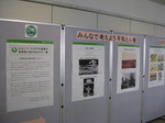 IMG_5530.JPG