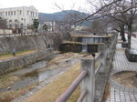 IMG_6207.JPG