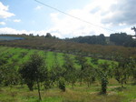 IMG_6563.JPG