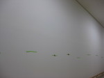 IMG_6619.JPG