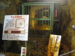IMG_6622.JPG