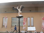 IMG_6623.JPG
