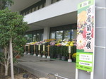 IMG_6682.JPG