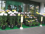 IMG_6683.JPG