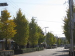 IMG_6777.JPG
