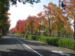 IMG_6778.JPG