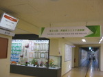 IMG_6893.JPG