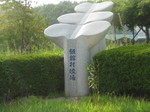 IMG_6893-thumbnail2.jpg