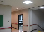 IMG_7100.JPG
