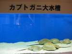 IMG_7378.JPG
