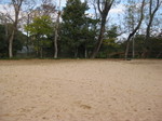 IMG_7417.JPG