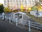IMG_7419.JPG