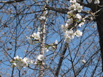 IMG_7776.JPG