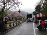 IMG_7871.JPG