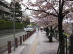 IMG_7874.JPG