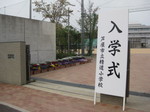 IMG_7903.JPG