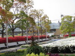 IMG_7954.JPG
