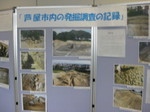 IMG_7972.JPG