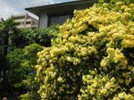 IMG_7985.JPG