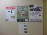 IMG_8370.JPG