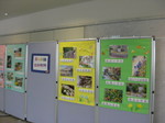 IMG_8504.JPG