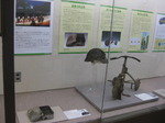 IMG_8835.JPG