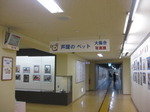 IMG_8920.JPG