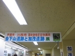 kamo4.JPG